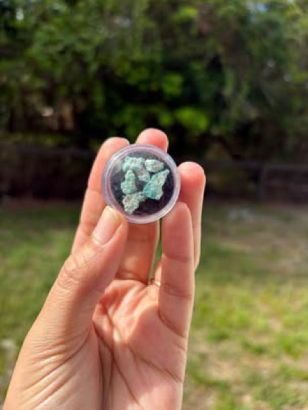 Rare Villa Grove Turquoise Raw Specimens - 1.9g Electric Blue & Golden Matrix